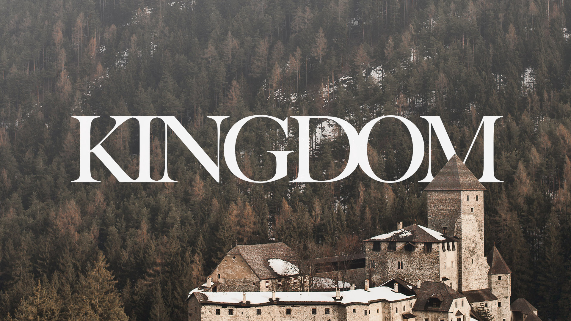 Kingdom Series Banner - Picture of Castle and Forest