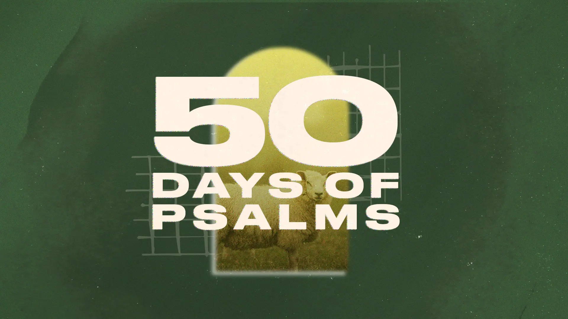 50 Days of Psalms