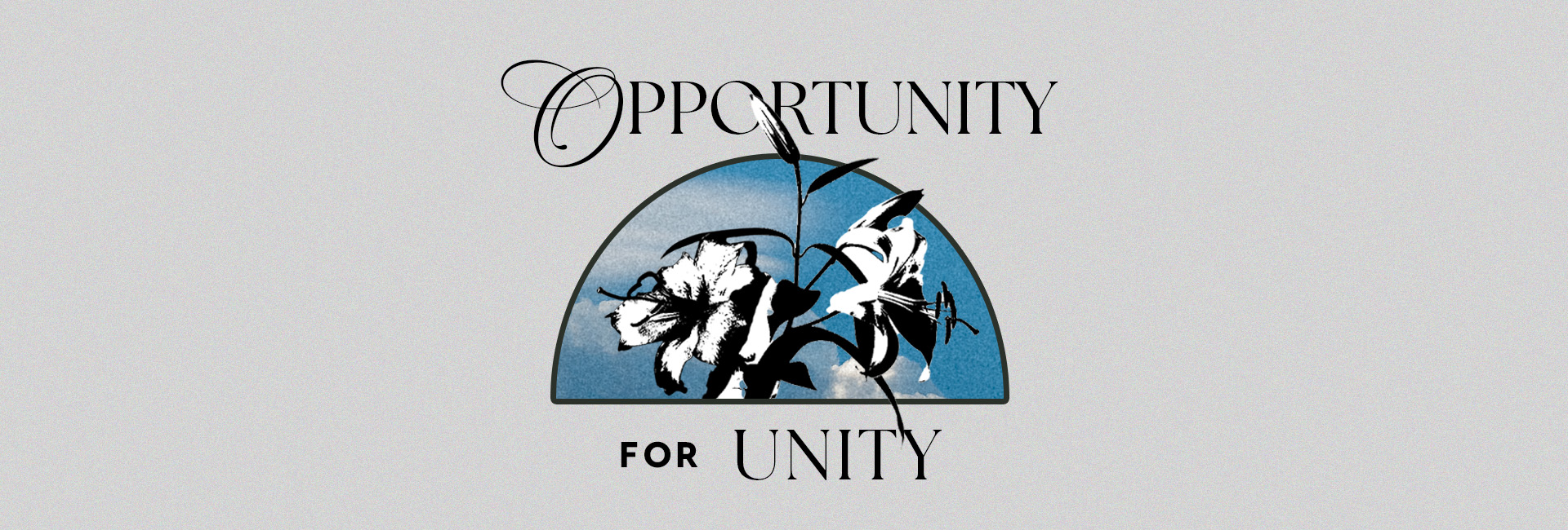 Web_opportunity